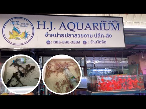 Zing’s Day I อัปเดตร้านเจ๊จือ หลังสงกรานต์