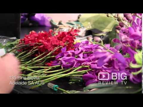 Alyssiums on Pirie Flower Shop in Adelaide SA for Florist and Bouquet