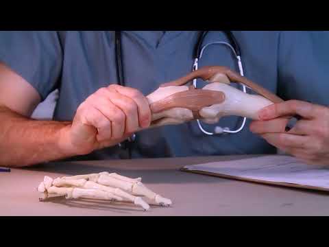 Understanding ACL Reconstruction: Types and Procedures Explained