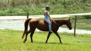 Shelby-Lynne Riding Bareback - Sweet Trail Mare