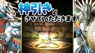 パズドラクロスゴッドフェス開催！無料ガチャで大勝利する男【パズドラ】