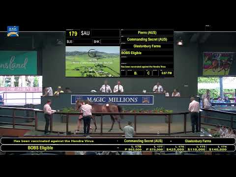 2021 Magic Millions Yearling Sale Day 1