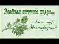 А.Звенигородский - Зелёная веточка Кедра... 