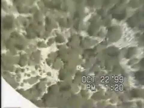 Jan-Davis-Base-Jump-Video-Original / Jan-Davis-Base-Jump-Full-Video