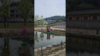 (수원) 화성행궁 별주 연못돌이 / 라이브 하이라이트