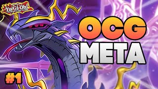 It's Already TOP TIER! OCG Metagame Breakdown #1! Yu-Gi-Oh!