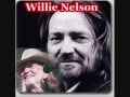 Willie Nelson  -  The Hill Country Theme