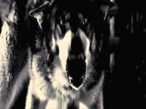 Simean Groove - Folk Implosion