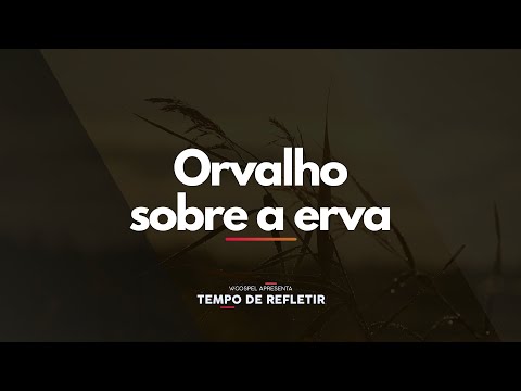 [Tempo de Refletir] Orvalho sobre a erva