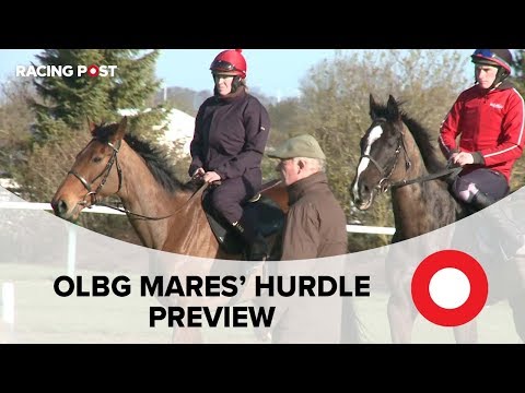Cheltenham 2019: OLBG Mares' Hurdle preview