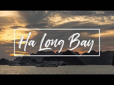 download lagu mp3 mp4 Peony Cruise Review, download lagu Peony Cruise Review gratis, unduh video klip Peony Cruise Review