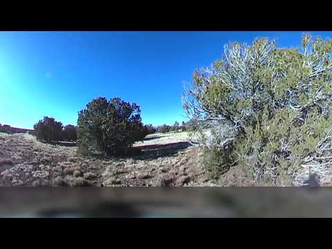 SOLD - Ash - Apache, AZ