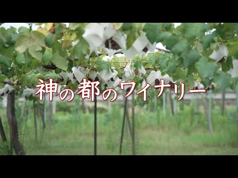 神の都のワイナリー 4K版 皇學館大学大学生テレビ局第121回