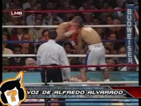 SENTENCIADO ALFREDO ALVARADO JULIO 2 768K Stream