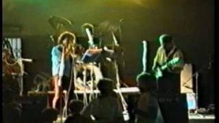 marina faggioli e i barritas (back where you started....tina turner)