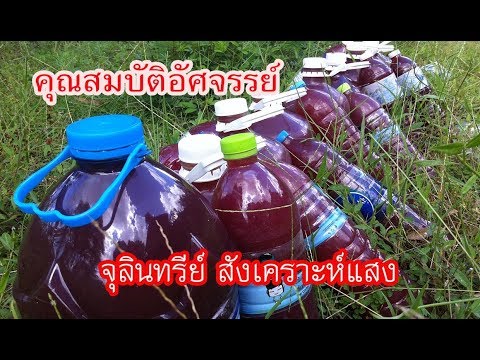หัวนมขนาดเล็กโป๊ คุมกำเนิดเพิ่มเต้านม