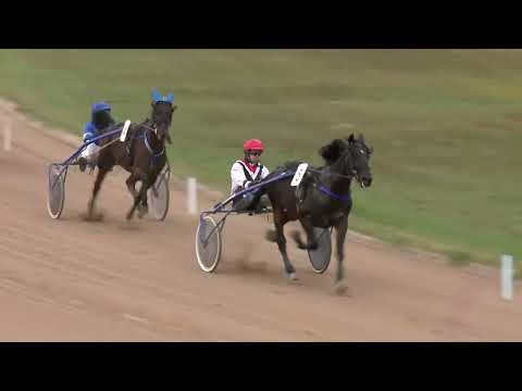 2022.10.22. 06. futam - 2022. ÉVI SEGÉDHAJTÓ KUPA V. FUTAMA HENDIKEP