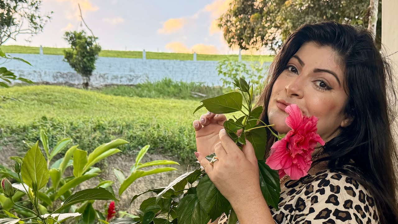 RESPOSTA DE DEUS PARA O DIA,17 FEV/ VOLTA POR CIMA VEM AÍ!