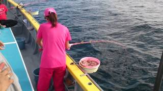 渚丸のイメージ