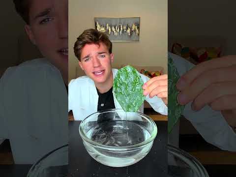 Making cactus 😮😮😮
