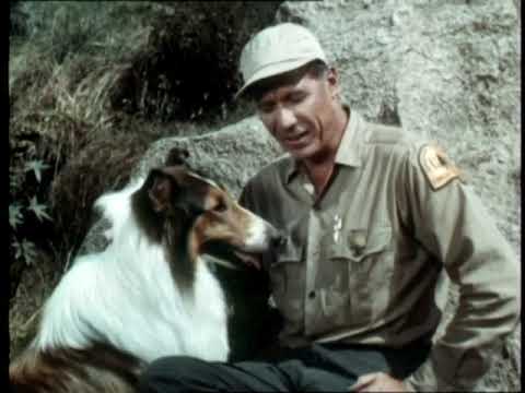 Lassie - (Vor- und Abspann) Staffel 12 / Folge 1