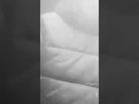 MUSSO x KARIM  Für die Ganze Stadt