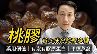Download lagu 桃膠，2026新影片，如何食才不浪費？是否真有膠原蛋白？是否真能美容養顏？ mp3