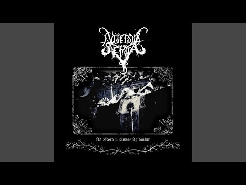 Luminis Oratorem Irrumabimus