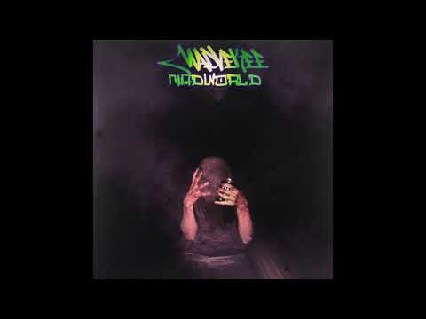 Madvekee - Madworld (Biitti: Eepi Boloks)