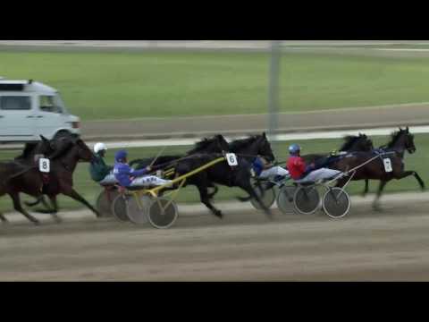 2017.05.06. 7. futam - MATUCZA LAJOS EMLÉKVERSENY