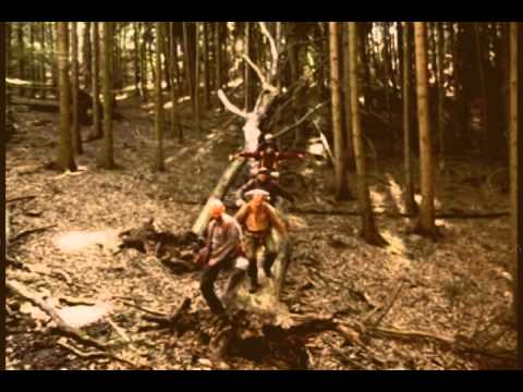 Café The Krym - Café The Krym - Prapory (tramp video version)