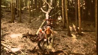 Café The Krym - Prapory (tramp video version)