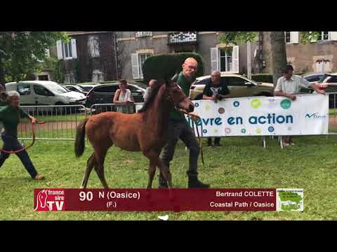 Sprinter Sacré Show 2018 : Lot 90 - N (Oasice)