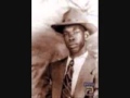 Elmore James   Goodbye Baby