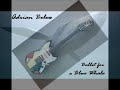 Adrian Belew - Ballet for a Blue Whale. (Video with Whales)  From 'Twang Bar King',1983.