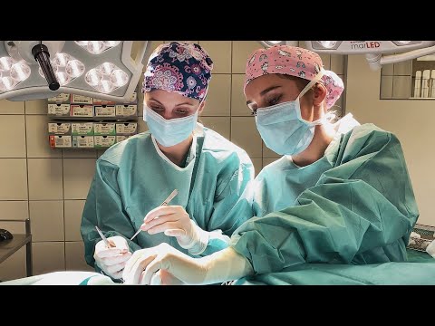 Kleintierklinik in Ettlingen - Tierärztliche Klinik für Chirurgie - Imagefilm