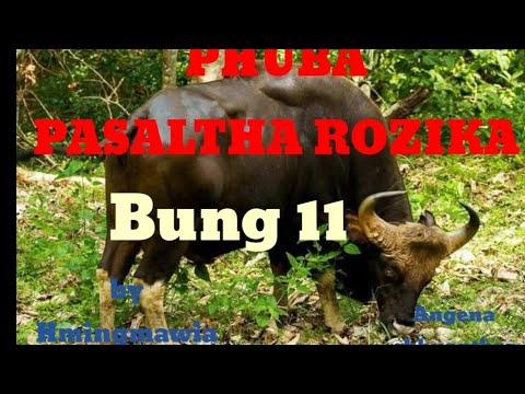PHUBA PASALTHA ROZIKA 11