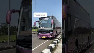Download lagu bus alyca trans ' kaivandra' membasuri DJ rindu aku rindu Kamu jadi satu 🔥🔥 mp3