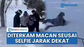 Nekat Selfie dari Jarak Dekat, Turis Wanita Diterkam Macan Tutul Salju di China seusai Main Ski