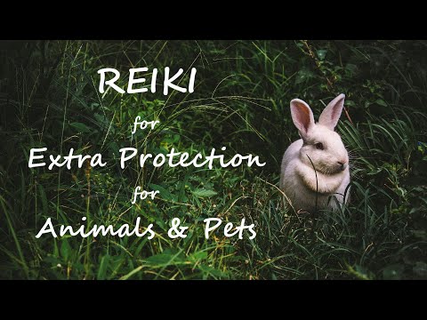 Reiki for Extra Protection Animals & Pets | Timeless Energy Healing