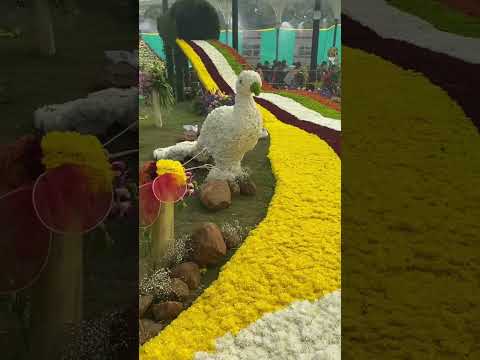 3/ Glimpses of Bangalore flower show 2023#youtubeshorts #flowershow #flowers #flwershow2023