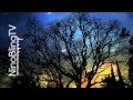 Maejor - Get You Alone ft. Jeremih (Boomistics ...