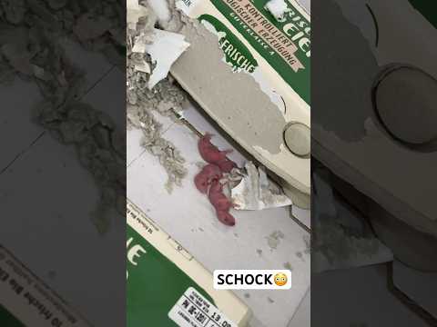 Shocked, what's going on at Lidl?😳