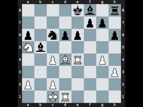 Chongsheng Zeng(2377) vs Kidambi Sundararajan(2449) | Event: 9th Parsvnath Open | 2011.01.16