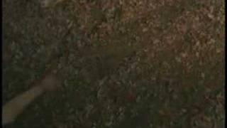 Inbred Evil - Boondox