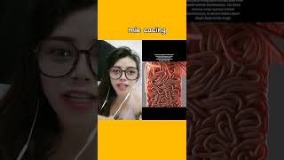 Download lagu Beware of the circulation of noodles made from worms ‼️ #shortstogether #reaction mp3