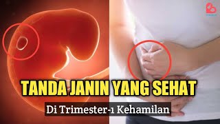 Download lagu Tanda Janin Sehat di Trimester Pertama Kehamilan... mp3