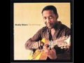 Muddy Waters - Louisiana Blues