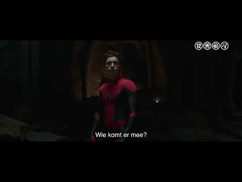 Spider-Man: No Way Home - Spot '1 Last Time' - 20" - NL