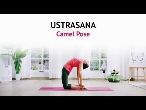 How To Do Ustrasana - Camel Pose ? | Benefits | Steps | Yogic Fitness | Art of Living Yoga